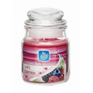 Pan Aroma Small Jar Candle With Lid ~ Wild Berries